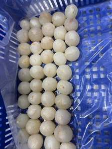 Lychees entiers surgelés IQF, emballage en vrac, qualité export, 10,20 kg, fruits surgelés - Mme Tarina - Product Image 5