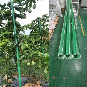 เสาค้ำต้นไม้ขนาด 8 ฟุต ขายส่ง - Product Image 4