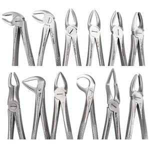 Kit de forceps d'extraction GDC de qualité supérieure avec plusieurs types de forceps pour la chirurgie buccale, disponible à un prix compétitif - Product Image 3