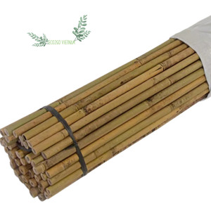 Varas de Bambú Pintadas en Verde/Negro (100% Bambú) de 2-12 m de Longitud y 3-10 cm de Diámetro - Eco2go Vietnam - Uso Agrícola/Esquí/Decoración - Product Image 1