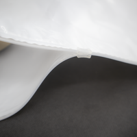 Haute qualité étanche indéchirable curseur serrure sacs d'expédition vêtements emballage expédition sacs en plastique en gros