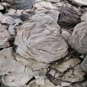 Best Grade Fresh Dry Salted <b>Beef</b> Omasum Halal <b>Beef</b> Salted <b>Beef</b> Omasum Buffalo Omasum Cow Cleaned Stomach Supplier - Product Image 5