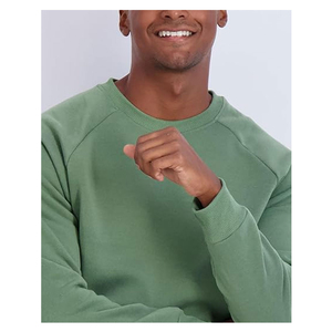 Men's Crew Neck Raglan Sleeve Pullover Sweatshirt Solid Color Casual Knitted Cotton Regular Fit Autumn Wear - Product Image 5