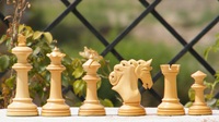 Boîte d'échecs Westminster Premium Jeu de table en bois Pièces magnétiques Le jeu en plein air pour enfants comprend le pliage de backgammon