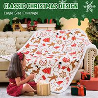 Couverture en flanelle Sherpa ultra douce, écologique et légère, couverture de lit luxueuse et moelleuse pour toutes les saisons