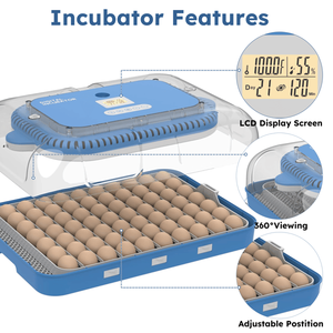 Incubatrice Digitale per Pollame a 70 Gradi con Rotazione Automatica e Controllo dell'Umidità, Materiale PC di Alta Qualità per Uova di Gallina, Anatra e Quaglia - Product Image 4