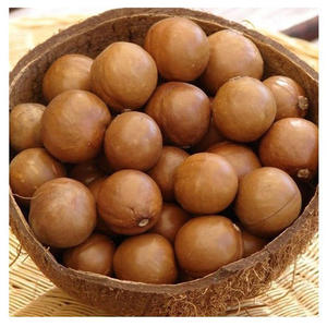 Suministro a granel de cáscaras de nuez de macadamia para exportación a los mejores precios, nuez de macadamia en cáscara de alta calidad en venta - Product Image 2