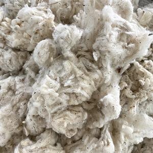 Residuos de algodón Linkerin, marca Nithya, cantidad mínima 23 toneladas +/- 10 - Product Image 2