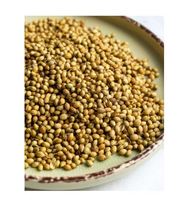 Graines de coriandre culinaire de qualité supérieure utilisées dans la cuisine de spécialité et l'assaisonnement gastronomique Marque G GROW AGRI INTERNATIONAL Fabriqué en Inde