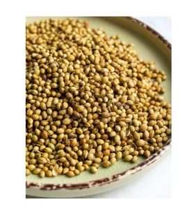 Graines de coriandre culinaire de qualité supérieure, utilisées pour la cuisine de spécialité et l'assaisonnement gastronomique, au meilleur prix auprès du fournisseur de graines de coriandre. - Product Image 3
