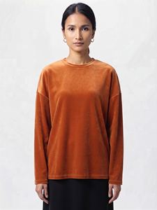 T-shirt en velours à manches longues pour femme, doux, confortable, col rond, uni, couleur unie, qualité supérieure, mode d'hiver - Product Image 3