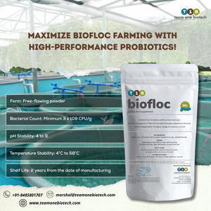 Meilleurs probiotiques pour l'amélioration de la digestion des poissons dans l'aquaculture Biofloc - Product Image 4