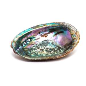 Quality Vietnam abalone shells for fine jewelry inlay luxury <b>watch</b> dial manufacturing colorful iridescent mother of <b>pearl</b> - Product Image 6