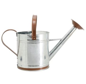 Best Design Galvanized steel watering can with removable rose With Natural Finishing iron watering can Garden Water can - Product Image 2
