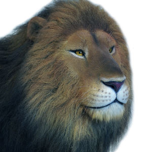 Estatua <span class=keywords><strong>de</strong></span> León <span class=keywords><strong>de</strong></span> Resina <span class=keywords><strong>de</strong></span> Alta Similitud, Personalizada, Decorativa para Interiores, Realista, <span class=keywords><strong>de</strong></span> Tamaño Natural, en Venta - Product Image 6