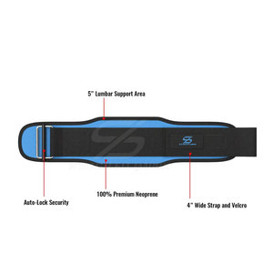 Cinturón de Levantamiento de Pesas de Cuero de Alta Calidad para Gimnasio y Fitness, Color Personalizado de Fábrica - Product Image 3