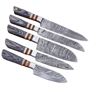 Ensemble de couteaux de chef professionnels multifonctions écologiques à cinq pièces, très vendus, avec lames en acier inoxydable et manches en bois Pakka - Product Image 2