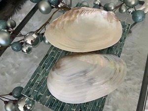 Wholesale Supply <b>Mother</b> of Pearl Bowl Handmade Shell Mosaic Decorative Bowl for Home Decor Hotel and Restaurant for Sale - Product Image 4