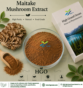 Suministro Directo de Fábrica HGO de Extracto Puro y Natural de Hongo Maitake, Grado Alimenticio, Especificaciones 5:1, 10:1, 20:1 - Product Image 1