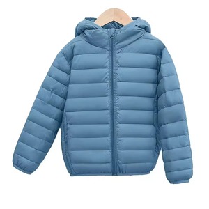 <b>Men's</b> Casual Autumn Zipper Front Logo Waterproof Breathable Cotton Lined Puffer <b>Jacket</b> with Hood OEM Service ZIMVI SPORTS - Product Image 6