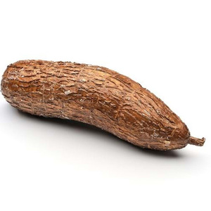 RAÍZ DE YUCA CONGELADA AL MEJOR PRECIO, CALIDAD SUPERIOR - Product Image 2