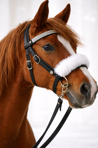 Nouvelle boucle métallique SS 816mm pour licol de cheval de compagnie DIY, quincaillerie pour sangle de bridon, fourniture artisanale - Product Image 4