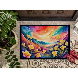 Freesia-Colored <b>Indoor</b>/Outdoor Non-Slip <b>Washable</b> Low Pile <b>Door</b> <b>Mat</b> 24H X 36W for Entryway or Front <b>Door</b> - Product Image 3