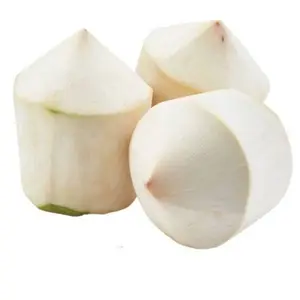 YOUNG COCONUT WITH STANDARDS QUALITY FROM VIETNAMESE SUPPLIER IN 2024