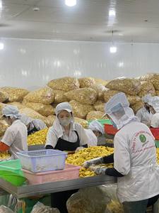 Chips de Jackfruit secos de Vietnam Snack crujiente dulce VF-Dried High Quality Mejor precio para exportación 2025 - Product Image 3