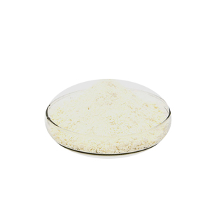 Aditivo Alimentario, Proteína de Soya Aislada Concentrada al 90%, Proteína de Soya en Polvo - Product Image 1