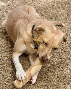 TAKIMEX-Palo de madera natural, respetuoso con el medio ambiente, dientes saludables, juguete masticable para perros para uso en interiores para Halloween, empaquetado en cartón - Product Image 3