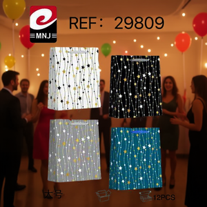 Bolsa de Regalo Grande para Fiestas (BOLSA DE REGALO) - Product Image 1