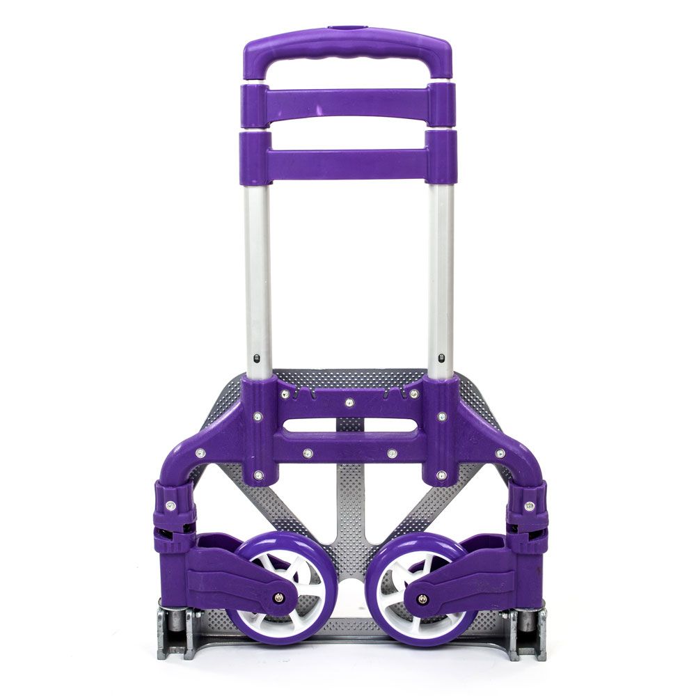 Purple Color