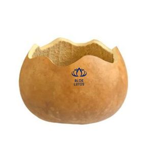 Bol en coquille de courge de Calabash 100% biologique DISPONIBLE |   Ensemble de bols artisanaux écologiques et naturels - Product Image 1