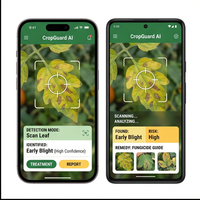 Aplicación RoyalCraft Enterprise para la Detección de Enfermedades en Cultivos, Salud Vegetal y Agricultura para IOS/Android/Linux/Mac (Stock)