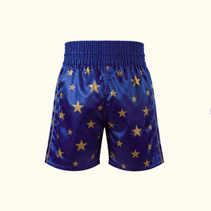 Shorts de boxe Muay Thai pour hommes, impression par transfert thermique, extensibles, sans couture, en polyester, coupe classique, vêtements d'arts martiaux pour adultes - Product Image 4