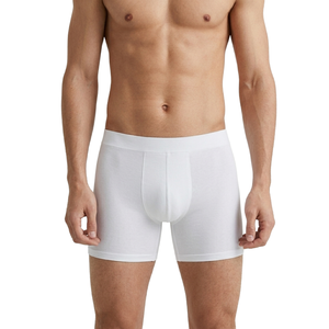 OEM Custom Embroidered Logo <b>Men's</b> Breathable Boxers Briefs <b>Thongs</b> Mid-Rise Underwear Disposable Woven Customized with Packaging - Product Image 1