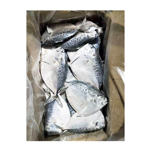 พร้อมจัดส่ง อาหารปลาแช่แข็งคุณภาพพรีเมียม เกรดอาหาร สำหรับขายส่ง ปริมาณมาก คุณภาพสูงสุด จากผู้ผลิตส่งออก - Product Image 4