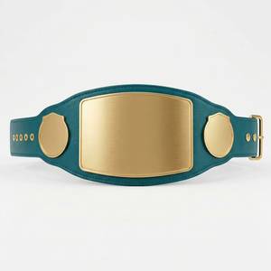 Ceinture de champion OEM en cuir PU, sur mesure, pour compétition, service de vente en gros d'usine - Product Image 1