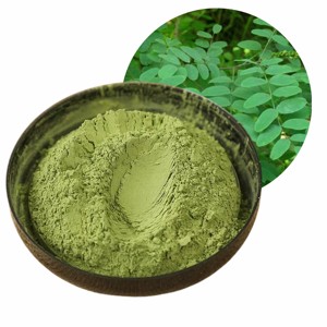 ผงใบอินดิโกขายดีที่สุด 100% บริสุทธิ์และเป็นธรรมชาติ สำหรับดูแลเส้นผมและย้อมสีผมสำหรับผู้ชายและผู้หญิง ในราคาที่ดีที่สุด - Product Image 1