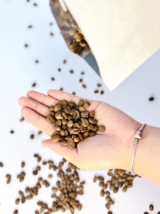 DHPONE Caffeinated Roasted <b>Coffee</b> Bean 100% Robusta Medium Roast Bitter Taste High Quality Lam Dong Vietnam 500g Use Phin <b>Filter</b> - Product Image 2