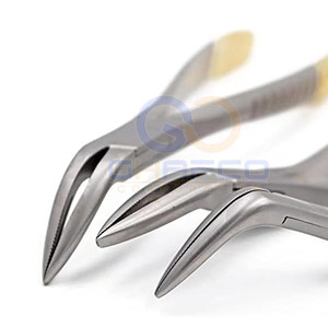 Pinzas de Extracción Dental de Acero Inoxidable de Primera Calidad, Instrumentos Dentales, Pinzas de Extracción Dental al Mejor Precio - Product Image 6