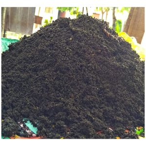 Natural Organic Vermi <b>Compost</b> for Fruit Vegetable Flower and Ornamental Plant Cultivation Worldwide - Product Image 6