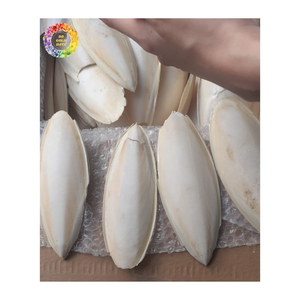 Hueso de Sepia a Granel, Ingrediente Marino con Alto Contenido de Calcio para Alimento Animal, Alimento para Aves, Alimento para Mascotas, Exportación al por Mayor, Fabricante - Product Image 1
