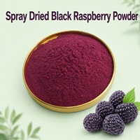 Bubuk Buah Ceri Berkualitas Tinggi, Bubuk Ceri Hitam/Merah Kering Semprot untuk Minuman/Smoothie/Kue