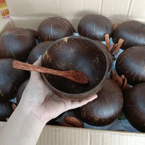 ชามเปลือกมะพร้าวงานฝีมือธรรมชาติ ผลิตภัณฑ์คุณภาพดีที่สุด วัสดุ: เปลือกมะพร้าว; ใช้สำหรับ: ตกแต่งโต๊ะ; แหล่งกำเนิด: ช่างฝีมือชาวเวียดนาม - Product Image 1