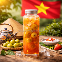 Groothandel 500ml cilinder PET sapfles met schroefdop Model VD500-3316 Directe productie Vietnam OEM ODM opties beschikbaar