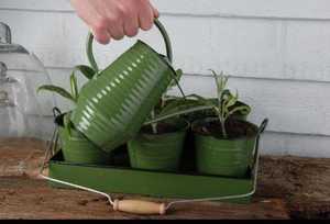 Gray Metal Watering Can with Ribbed Design for Gardening Outdoor Use Durable Painted Finish Indoor <b>garden</b> watering tool - Product Image 3