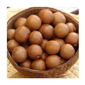 Macadamia <b>Nuts</b> Wholesale 10kg Bulk Macadamia <b>Nuts</b> - Product Image 5