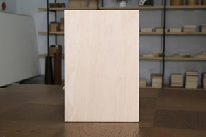 Contrachapado Revestido de Chapa de Abedul, Superficie Plana, Chapa Cortada Rotatoriamente, Panel Decorativo de Doble Cara, Paneles Interiores de Alta Calidad - Product Image 3